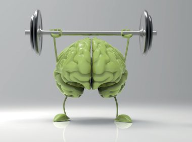 model of the brain lifting a dumbbell