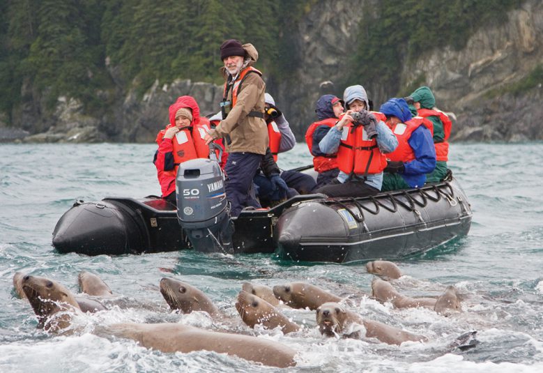 group of people in boat looking at seals in Alaska
