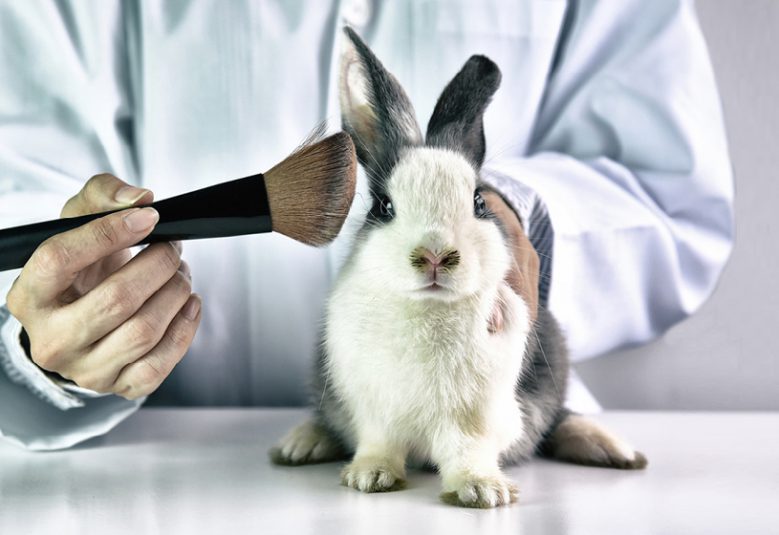 make up being put ona rabbit