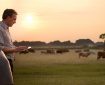 Farmer looks at his phone, with cows in the background