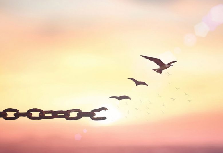 Piece of chain with birds in the background