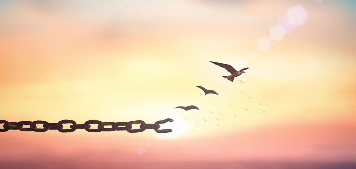 Piece of chain with birds in the background