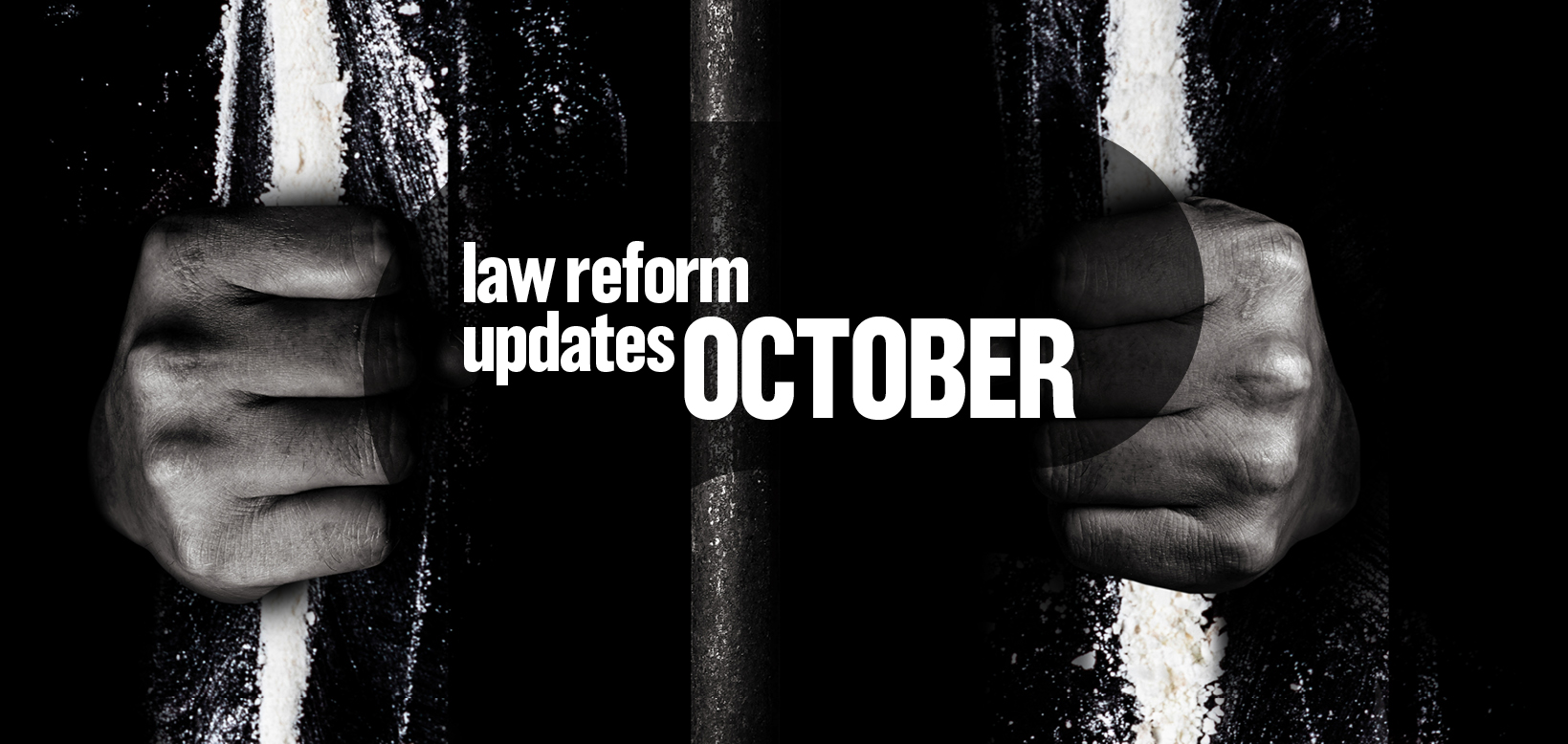 the-latest-developments-in-law-reform-advocacy-october-2021-law