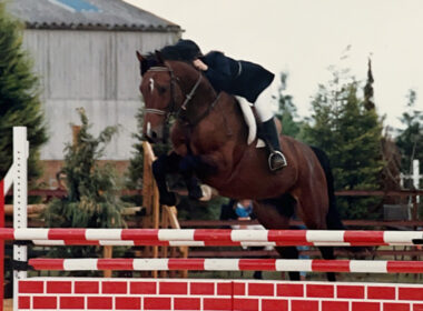 [image] horse rider jumping over obstacle to illustrate equine law