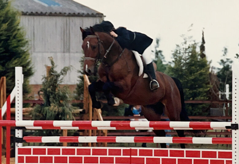 [image] horse rider jumping over obstacle to illustrate equine law