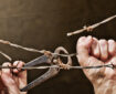 photo of hands cutting barbed wire to symbolise end to indefinite detention