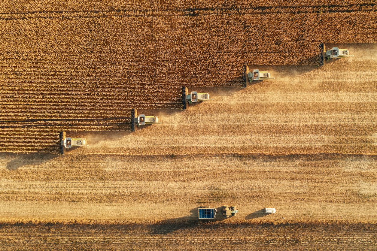 Does Australia need a food security plan? - Law Society Journal